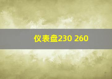 仪表盘230 260